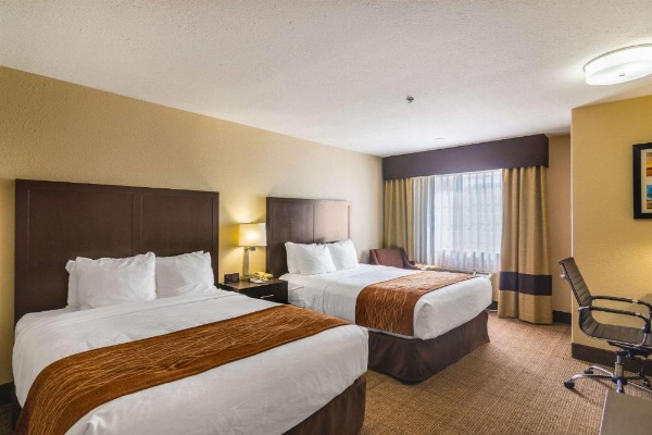Comfort Inn & Suites image 12